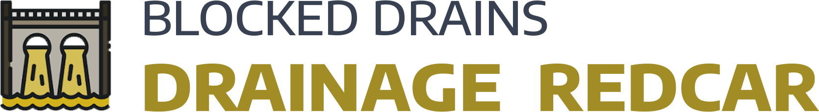 website logo
